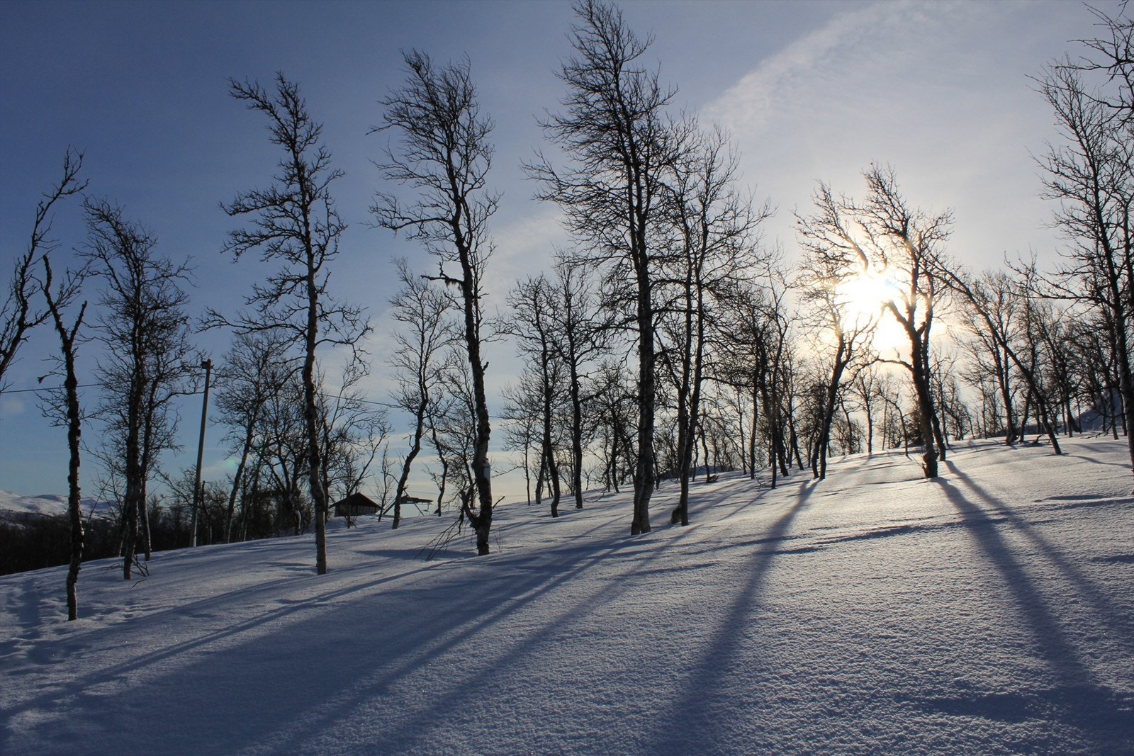 Tomten ligger 7 høydemeter på skå ned for toppen av stolheisen i Uvdal Alpinsenter, helt inntil hovedløypa Galleribilde