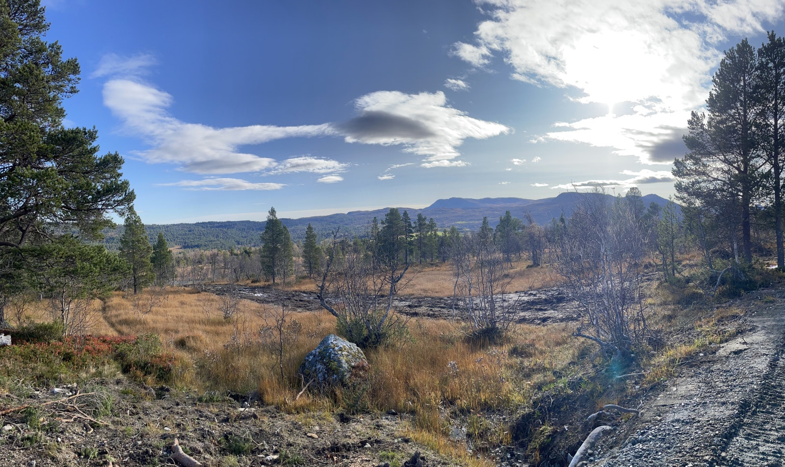 Bilde fra tomteområdet Galleribilde