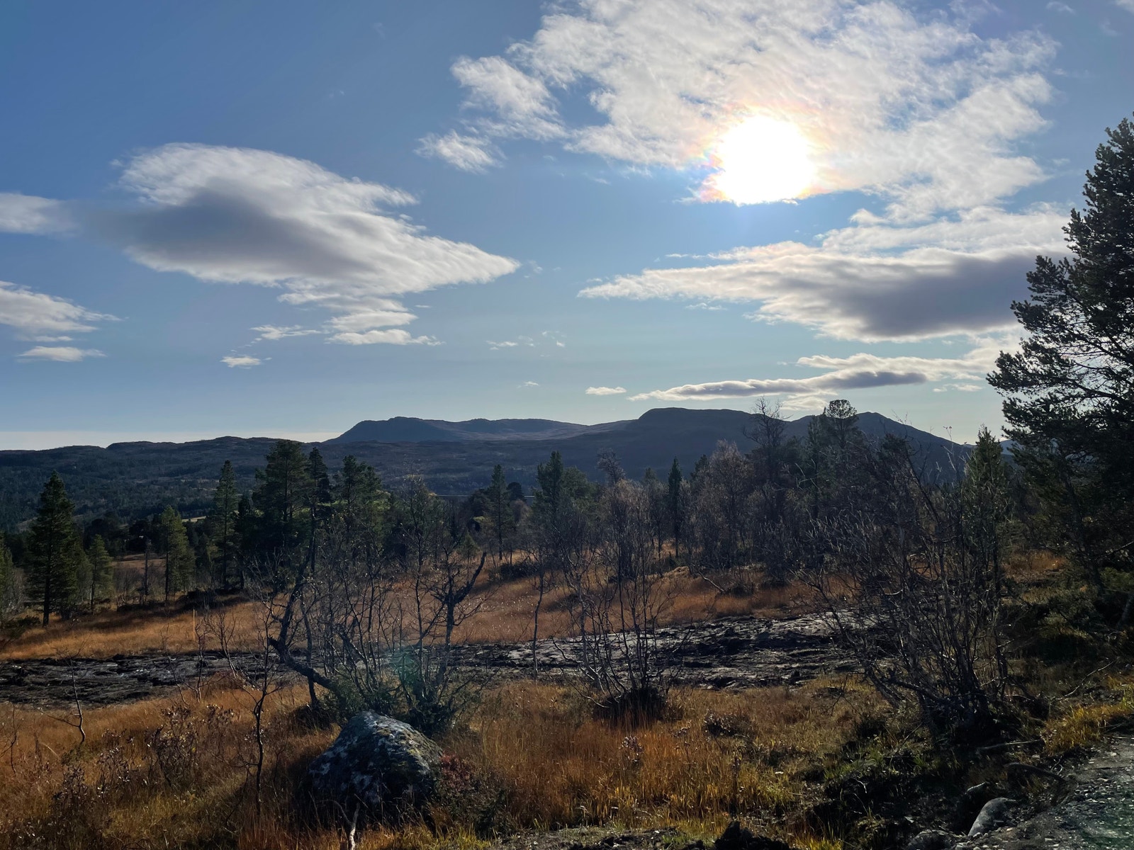 Bilde fra tomteområdet Galleribilde