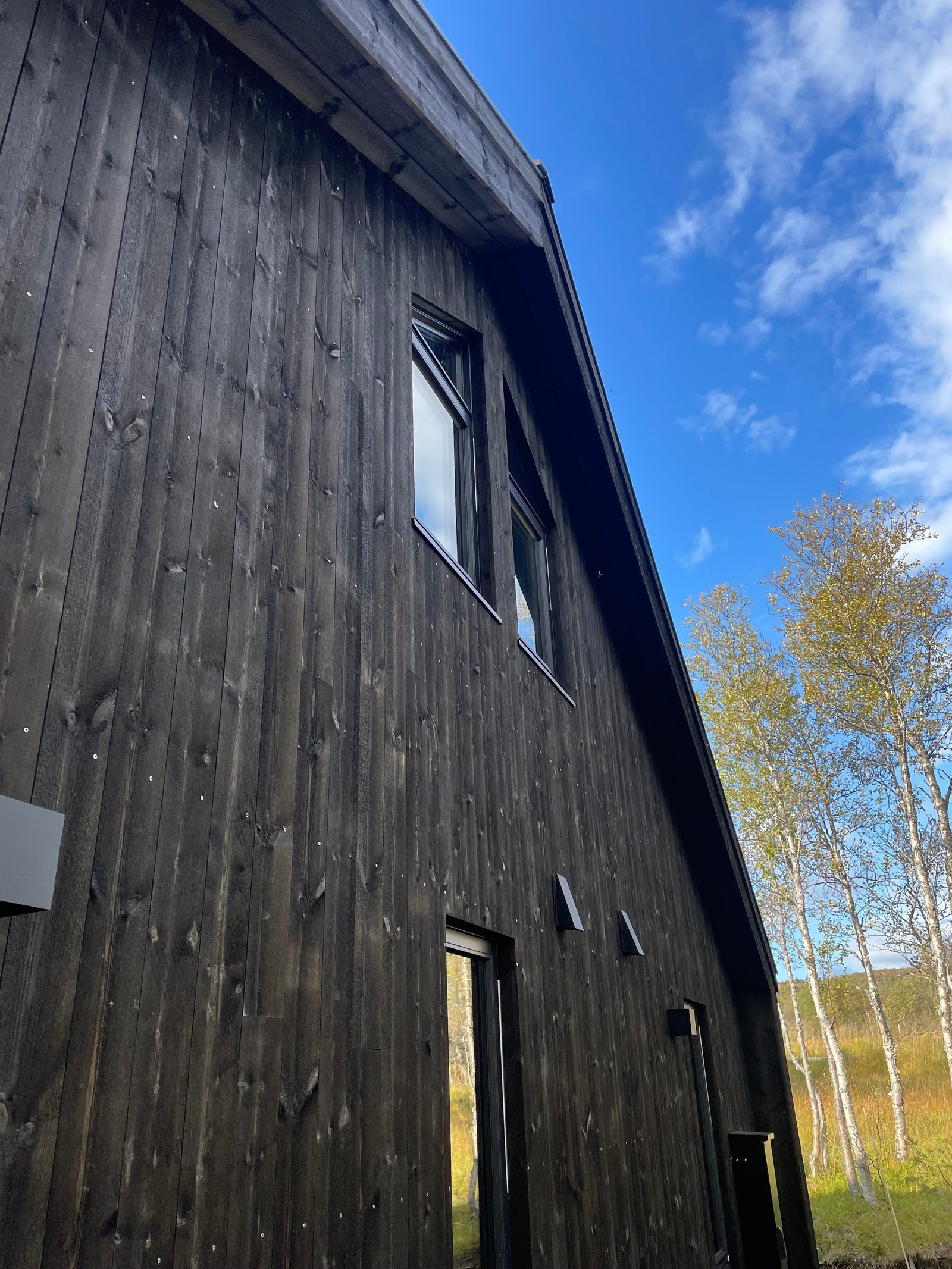 Bilder av kundetilpasset versjon av prosjektert hyttemodell Galleribilde