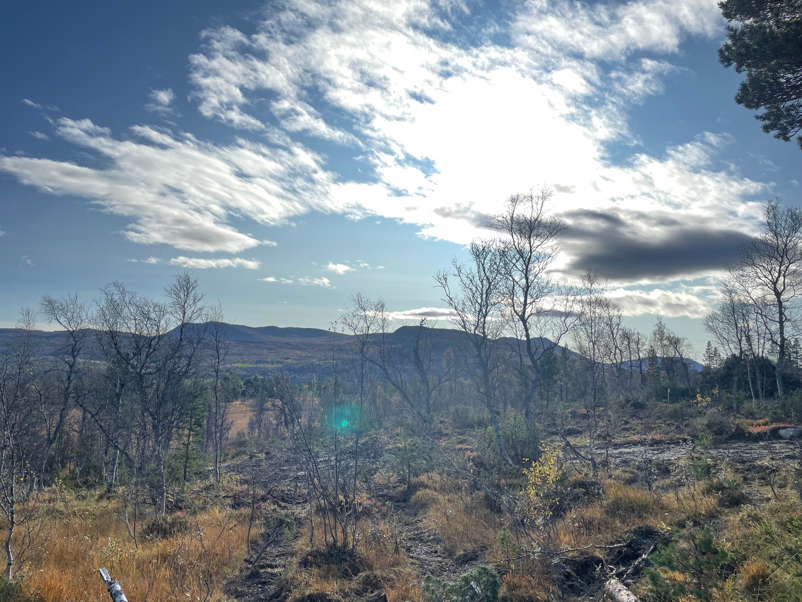 Bilde fra tomteområdet Galleribilde