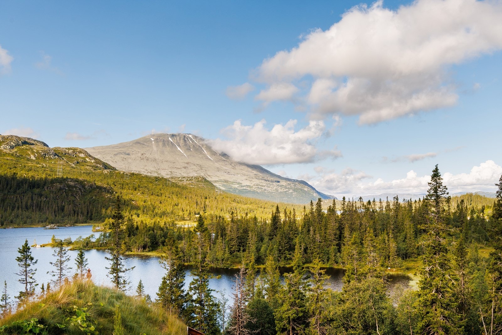 Nydelig utsikt til fjellene og særlig direkte utsyn til områdets perle, Gaustatoppen. Galleribilde