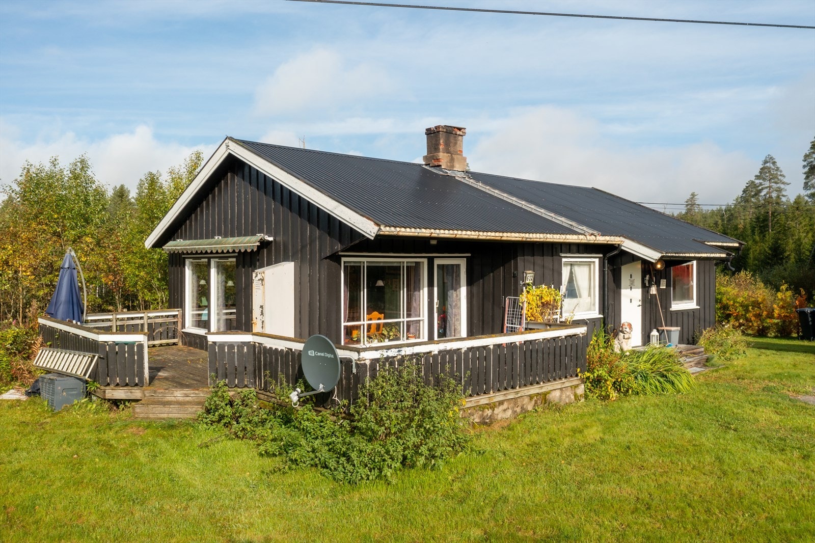 Romslig, festet tomt. Galleribilde