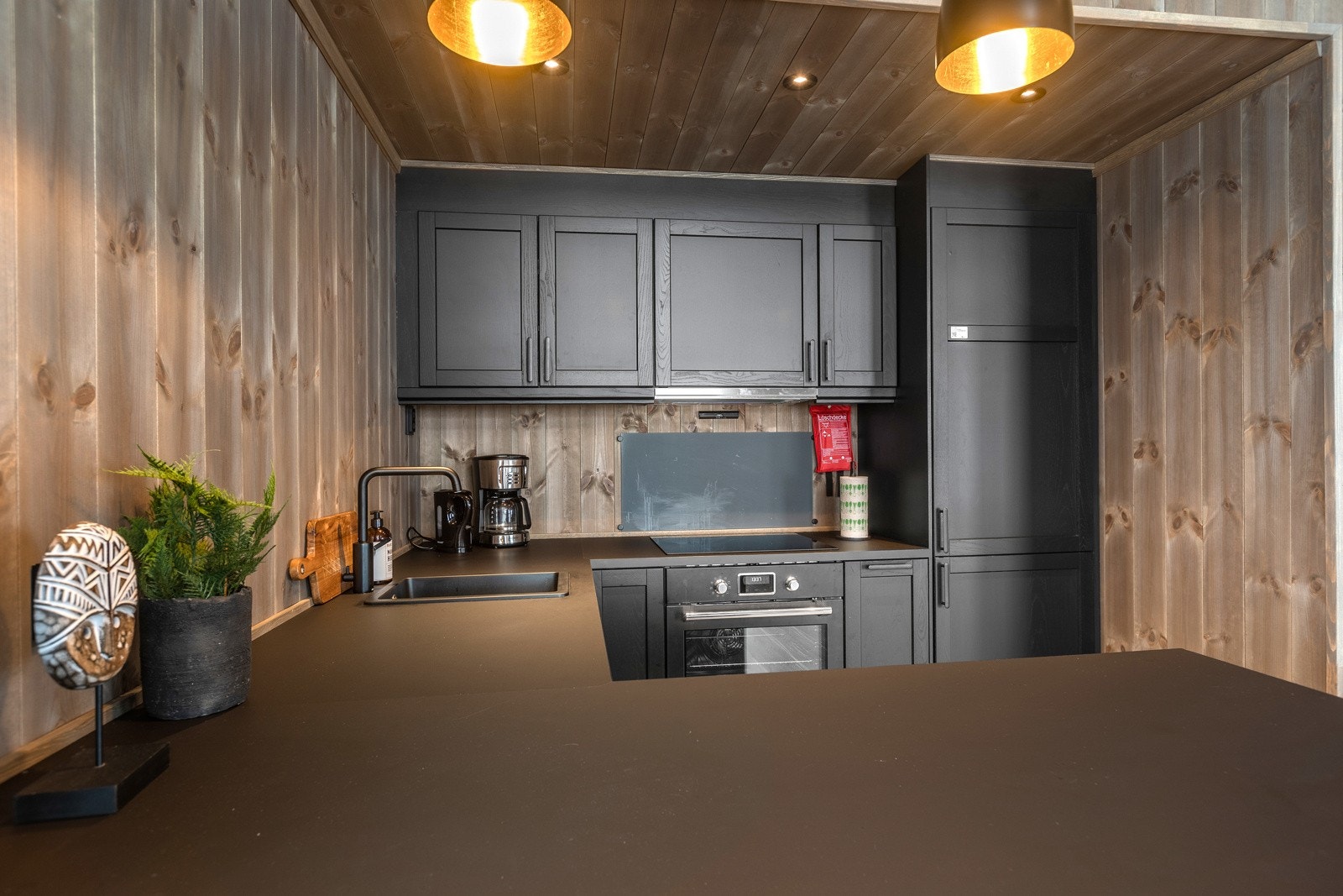 Kjøkkenet har integrerte hvitevarer som består av induksjonstopp, stekeovn, oppvaskmaskin og kombiskap med kjøl/ frys Galleribilde