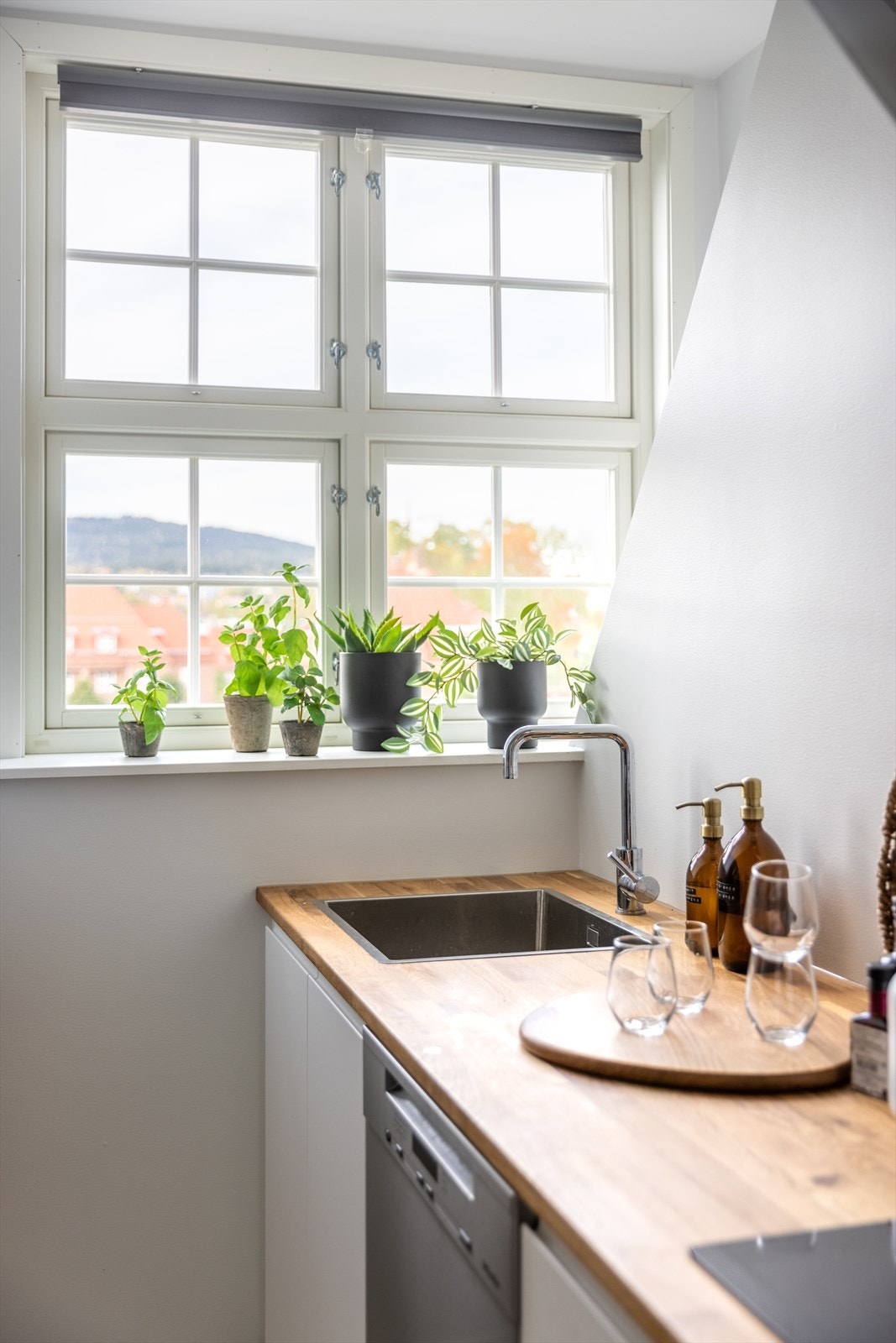 Videre er det nedfelt rustfri oppvaskmaskin og ett-greps blandebatteri. Galleribilde