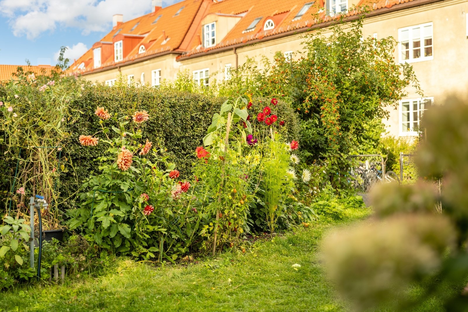 Området består av grønne oaser, trygge internveier og et bomiljø som beskrives som svært hyggelig. Galleribilde