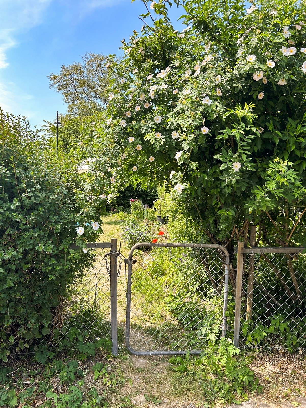 Hageidyll | Selgers eget bilde Galleribilde