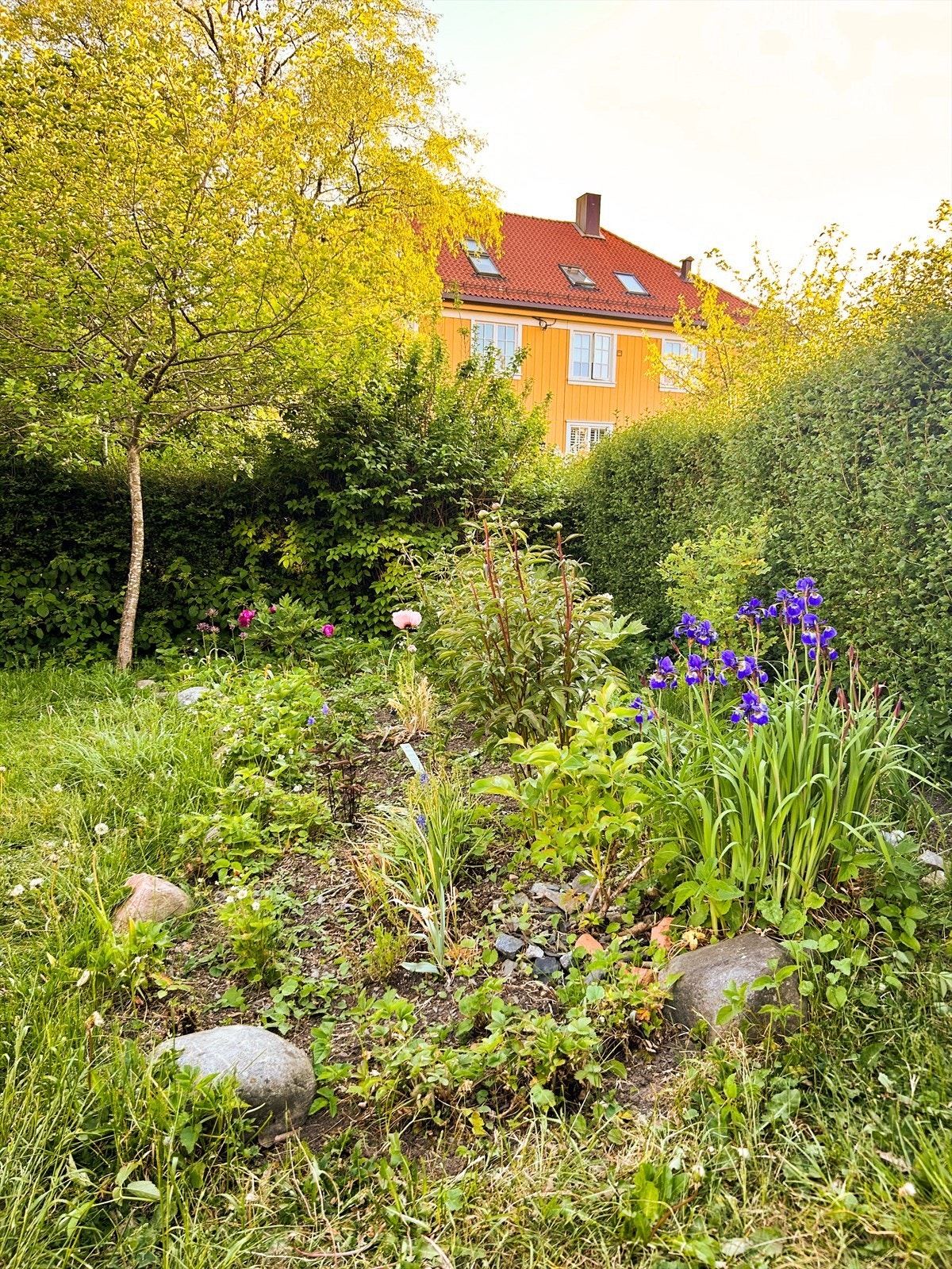 Hageidyll | Selgers eget bilde Galleribilde