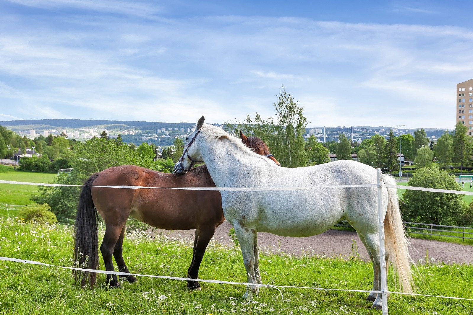 Området byr på mange gode aktiviteter sommer som vinter for folk og barn i alle aldre. Galleribilde