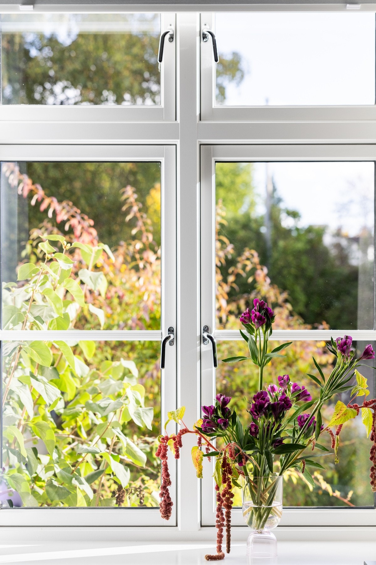 Vinduer fra 2007 og frodig utsyn. Galleribilde