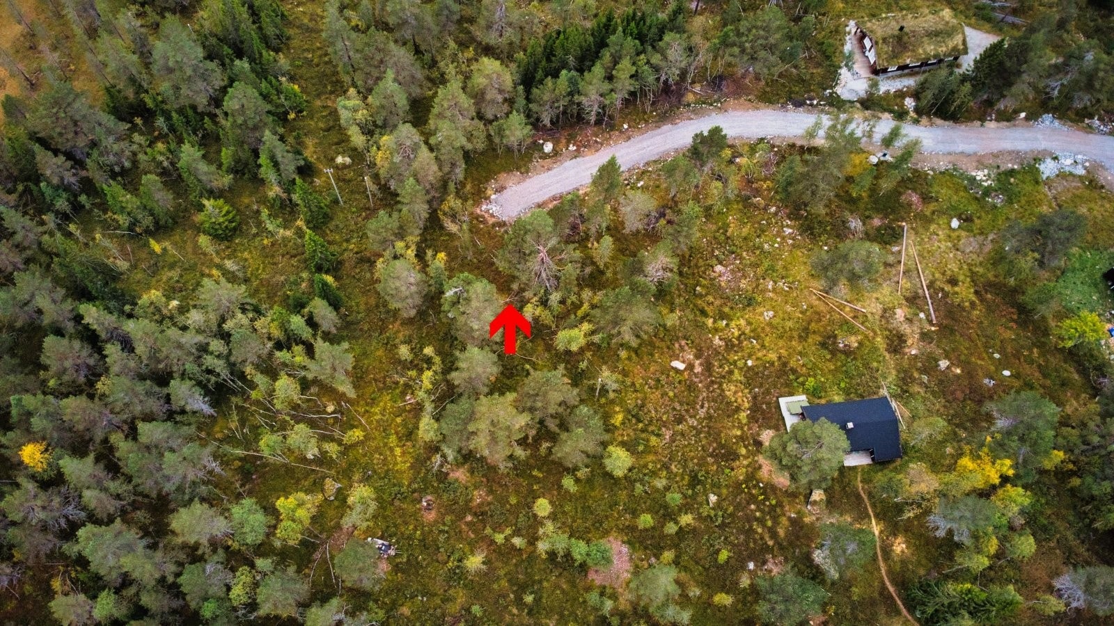 DJI_0225 Galleribilde