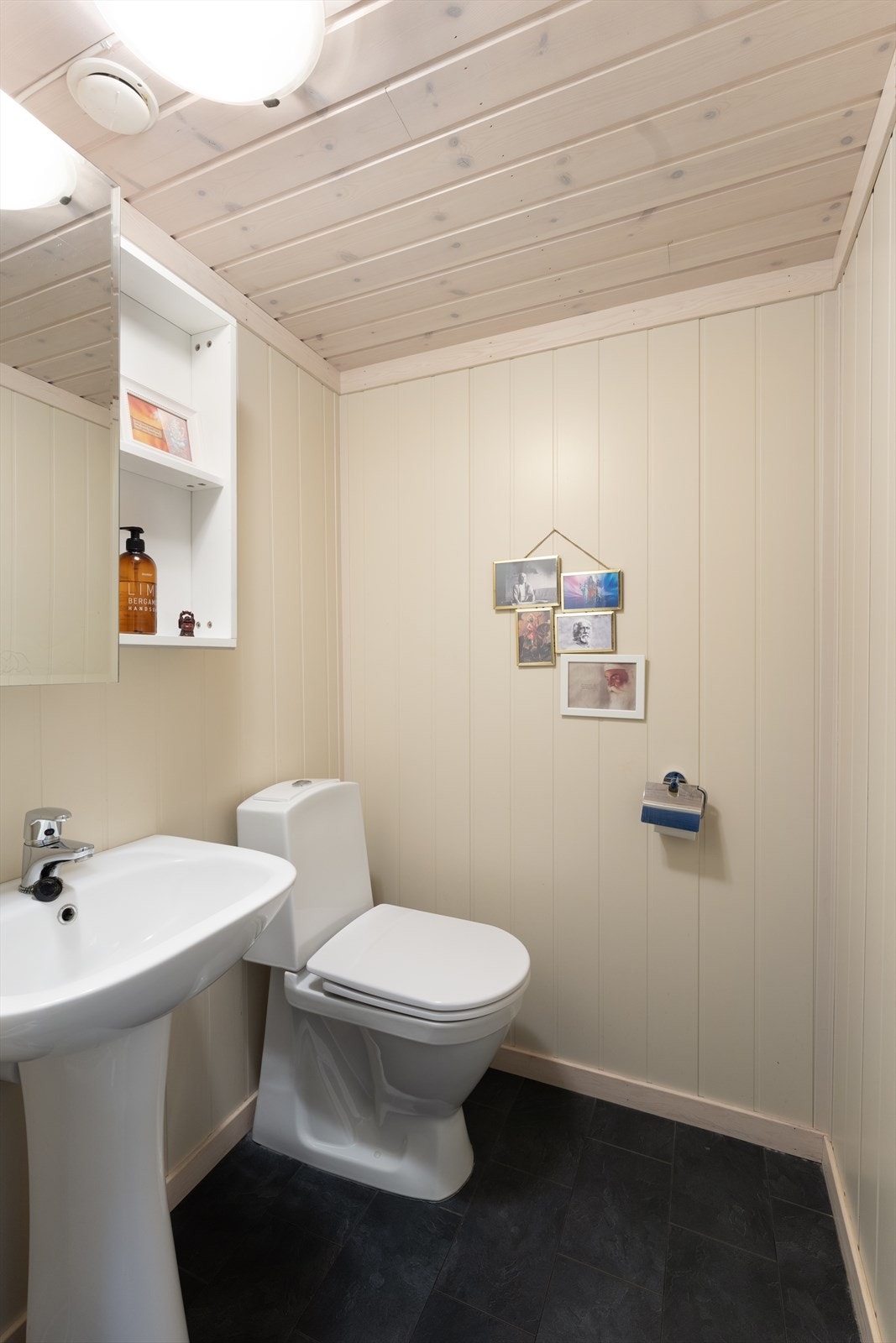 Dorom er innredet med servant med overskap med speil og wc. Galleribilde