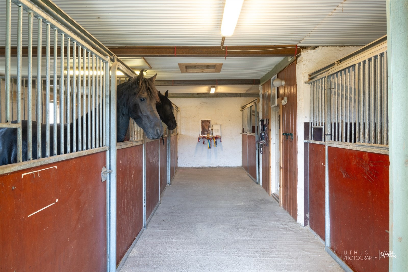 Stallplasser. Galleribilde