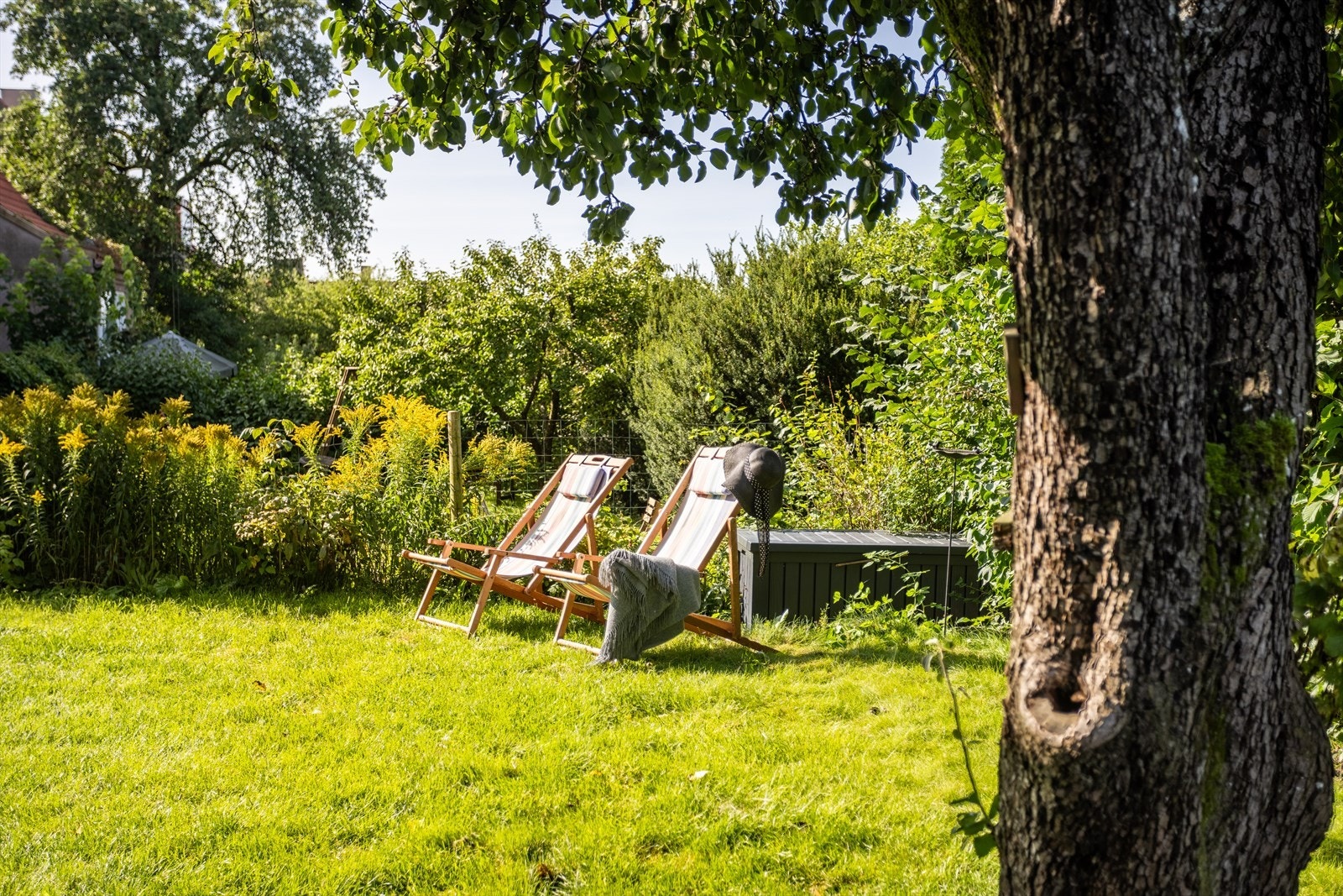 På sommerhalvåret blomstrer prydbusker i alle farger og fasonger. Galleribilde