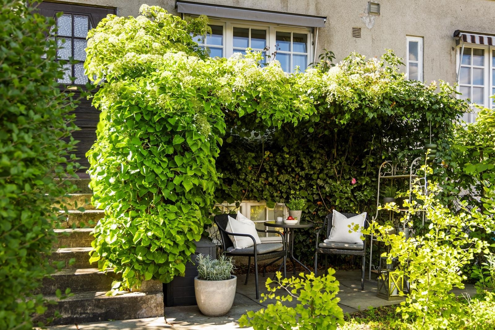 Inn mot rolige kvartals-hager kan du nyte morgensol og kaffe under pergolaen. Galleribilde