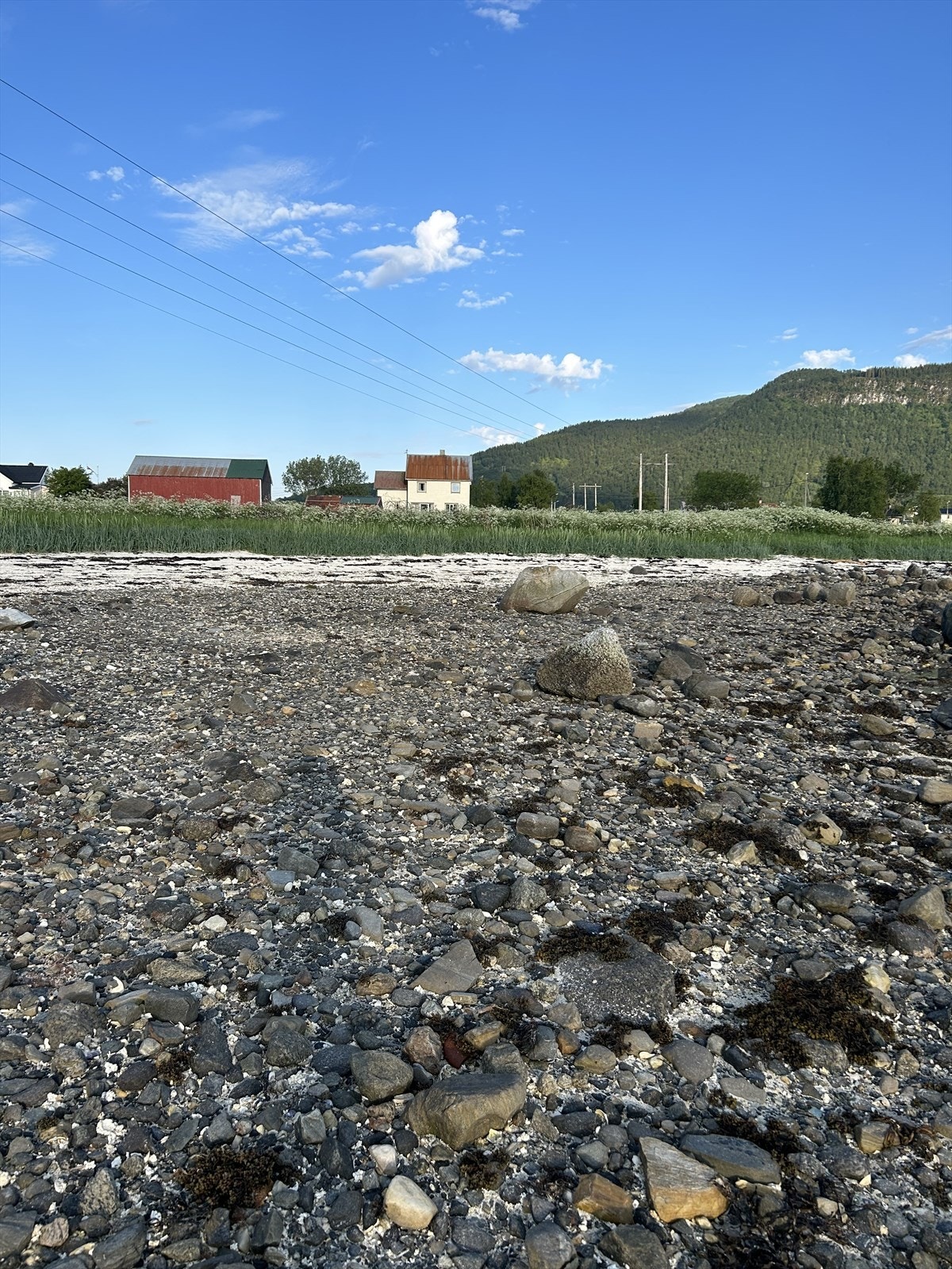 Kort vei til havet og fjæra for barna Galleribilde