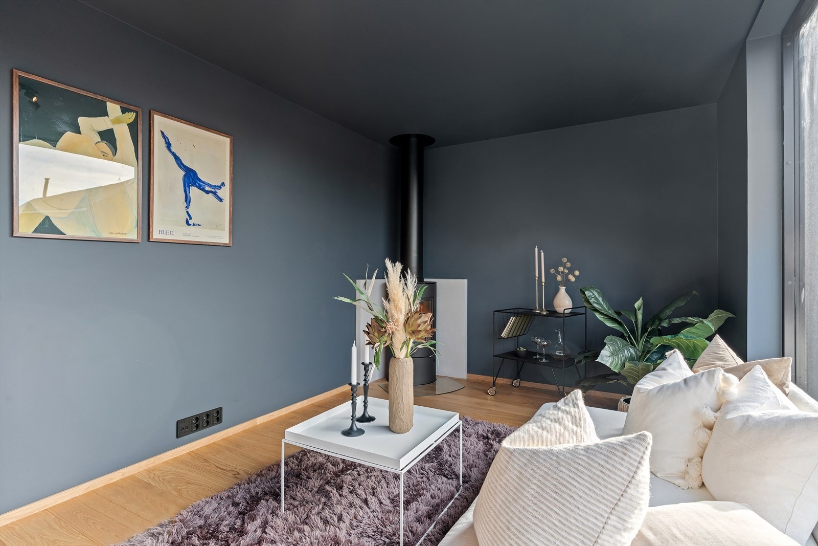 Loftstue Galleribilde