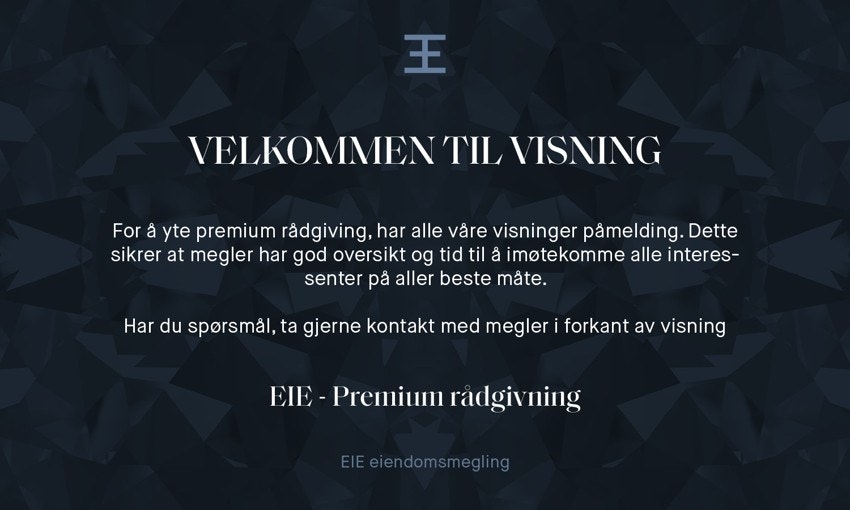 Informasjon vedrørende visning. Galleribilde