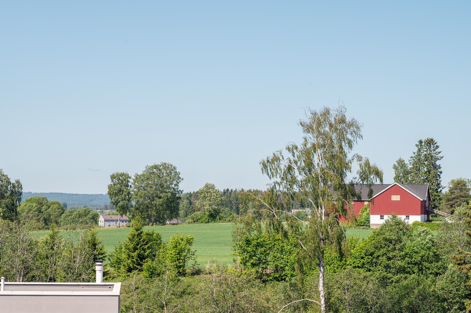 Utsikt. Galleribilde