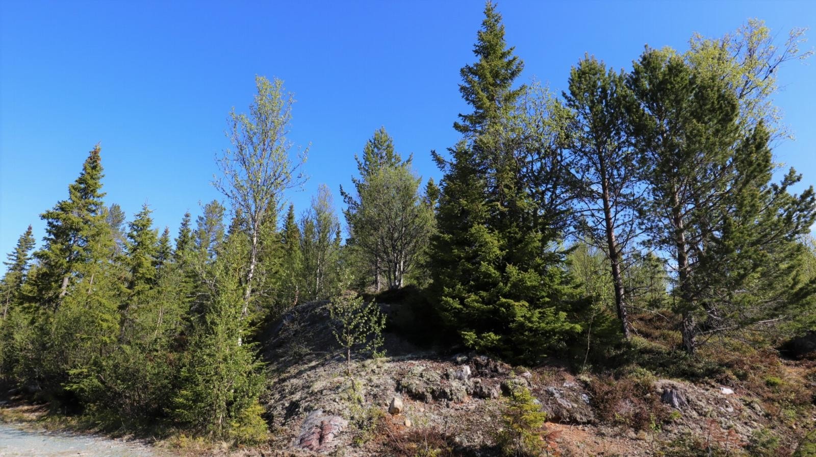 Bilde av tomten, tatt fra parkeringen Galleribilde