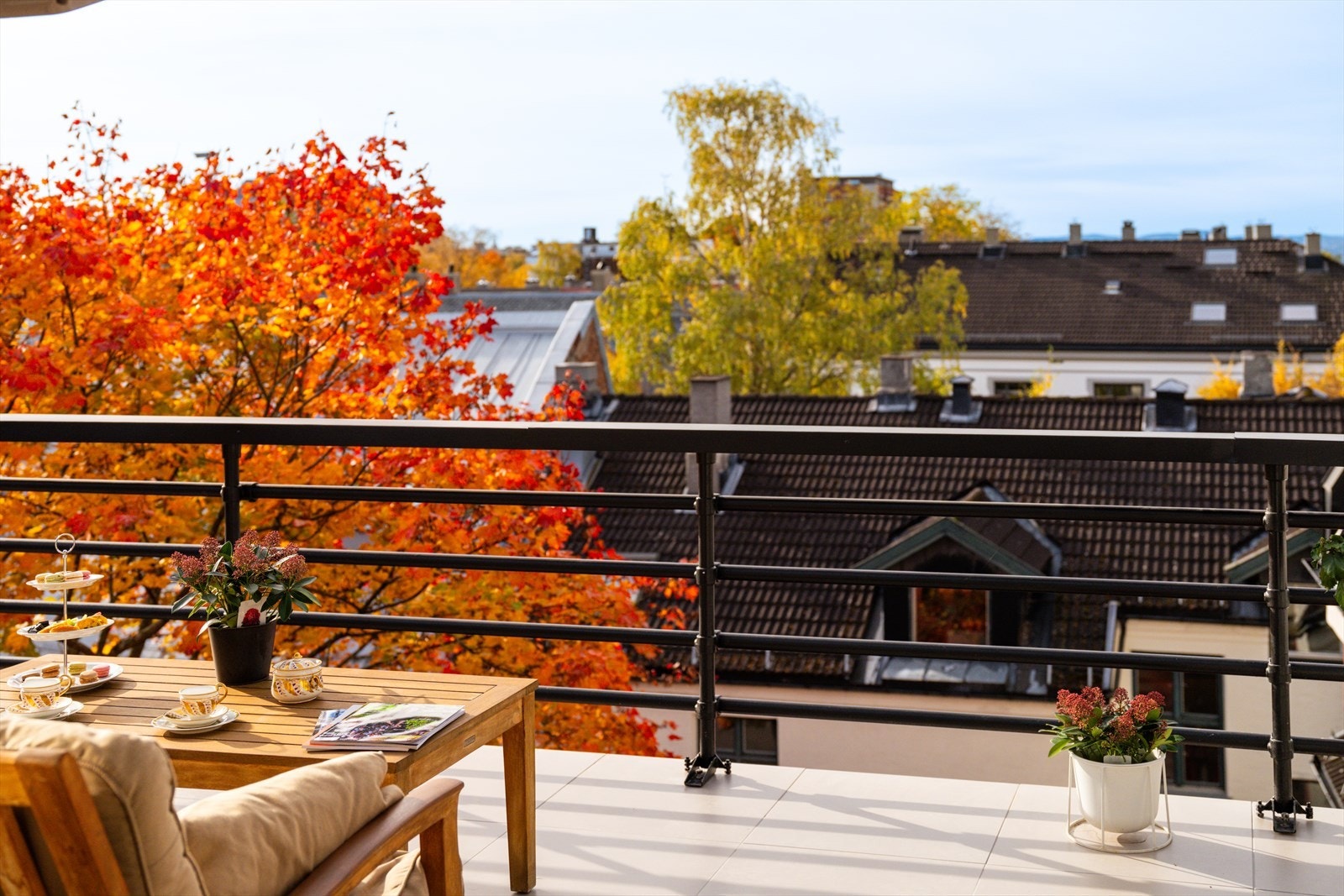 Flott usjenert utsikt fra terrassen. Galleribilde