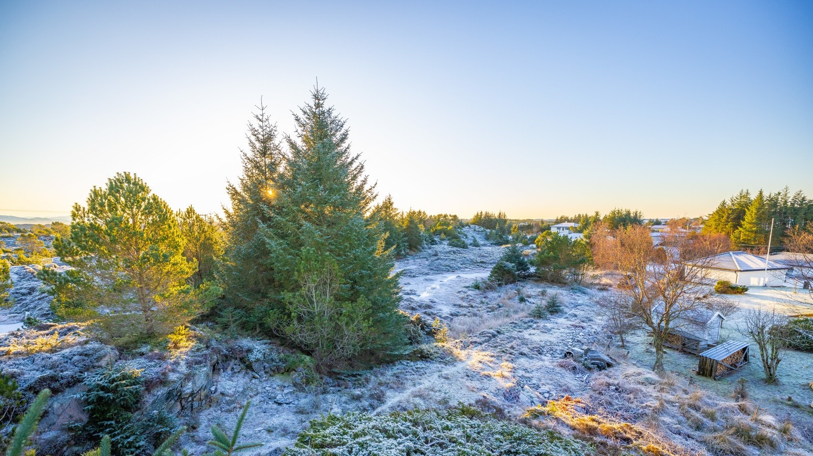 Midt på tomten er det et høydedrag hvor du kommer høyt og fritt Galleribilde