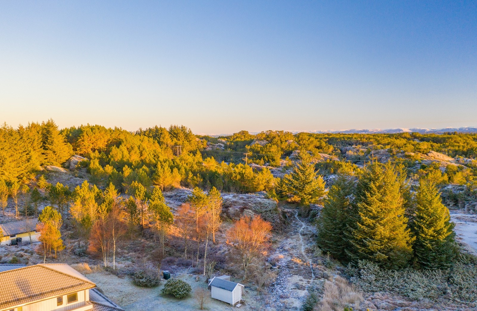 Området bak tomten er regulert til friområde Galleribilde