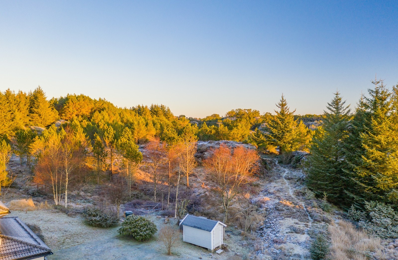 Stor tomt med enkel adkomst Galleribilde