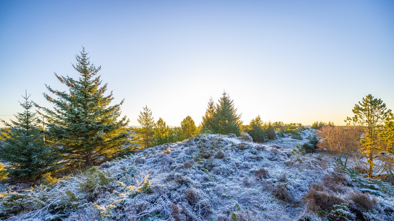 Store tomter gir deg en usjenert eiendom Galleribilde