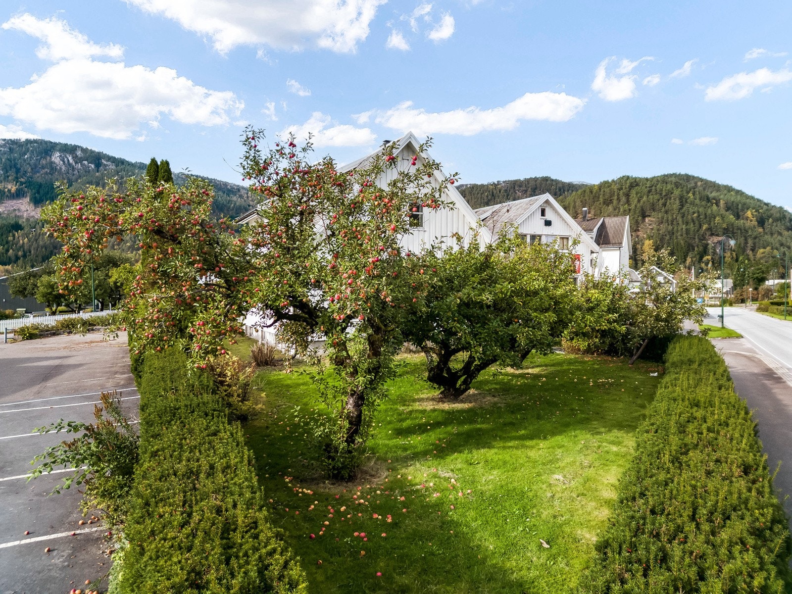 Tomt er opparbeidet med hageanlegg med plen og diverse beplantning. Galleribilde