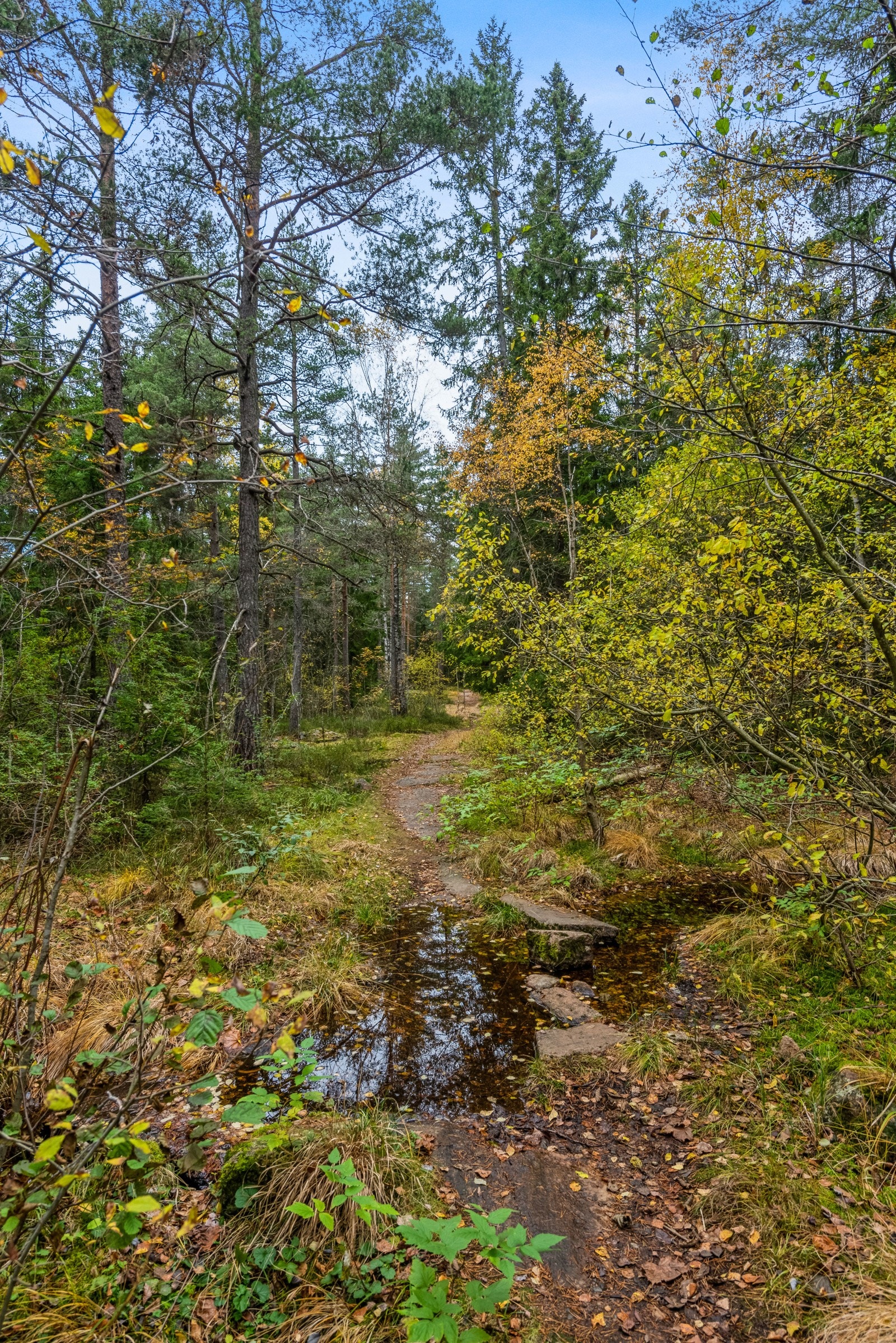 Ta turen på få minutter opp til Sandås og du er "rett i marka". Galleribilde