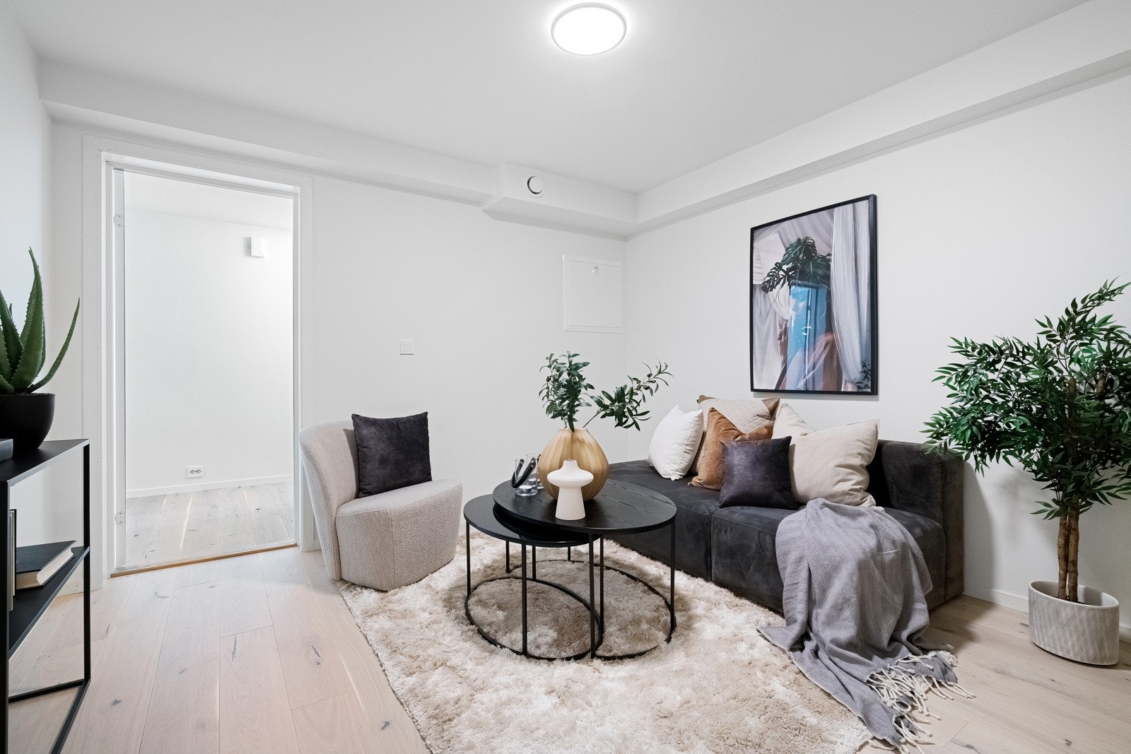 Treningsrom/kinorom. Galleribilde