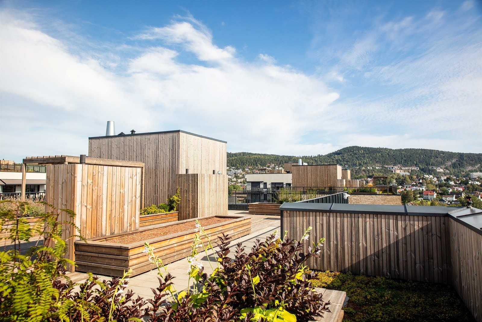 Fra takterrassen er det flott utsikt. Galleribilde