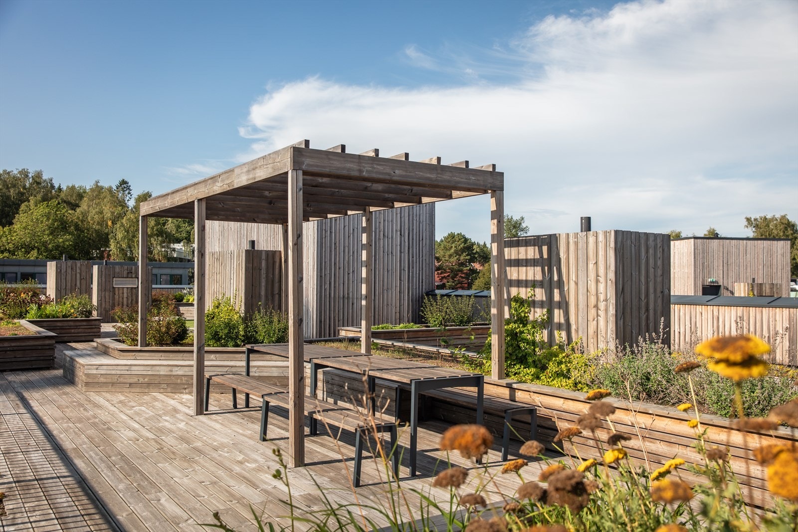 Pent opparbeidet takterrasse med sittegrupper og parsellhager. Galleribilde