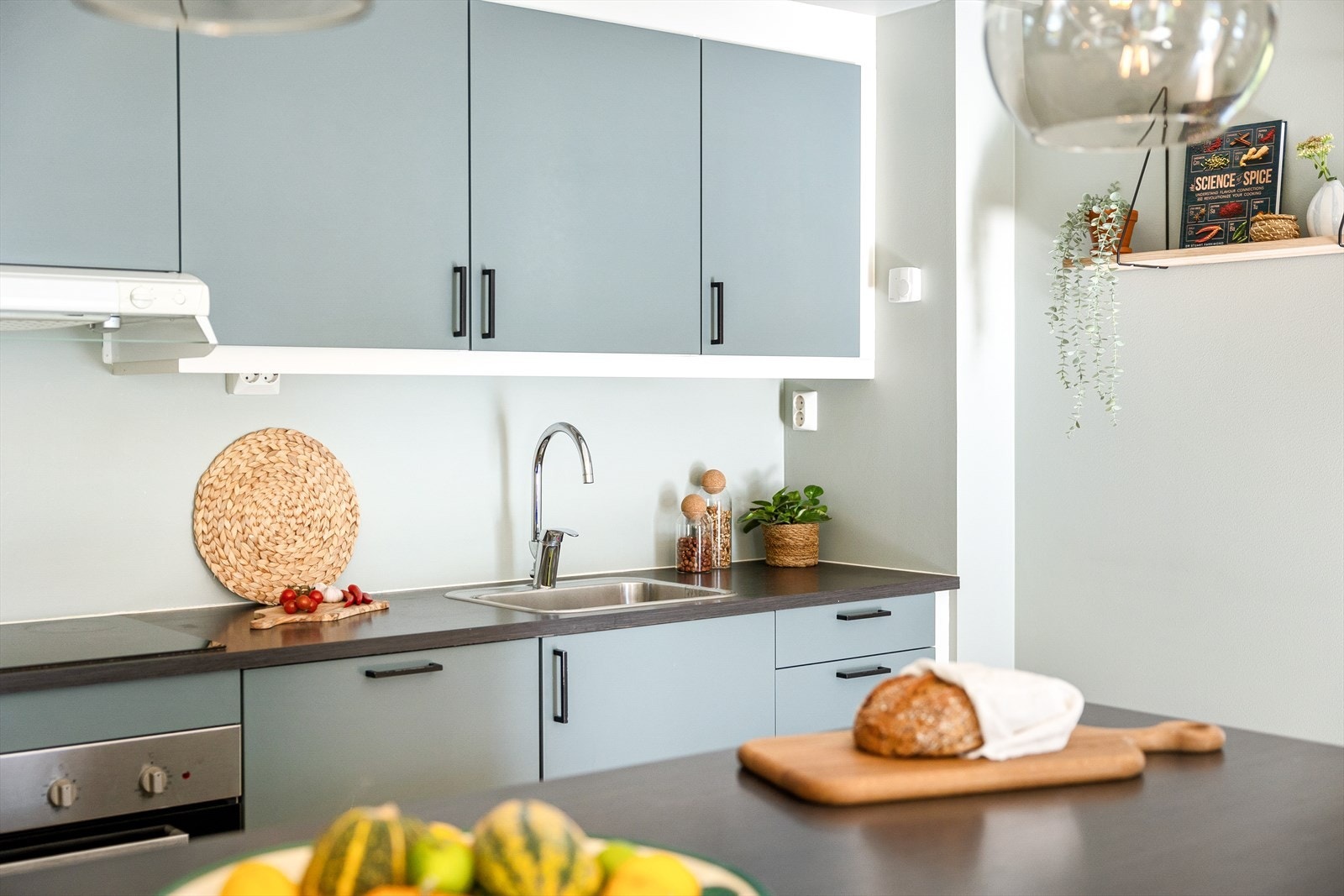 Videre er det integrert koketopp, stekeovn, oppvaskmaskin og kombinert kjøl/frys. Ventilator over kokeplass. Galleribilde