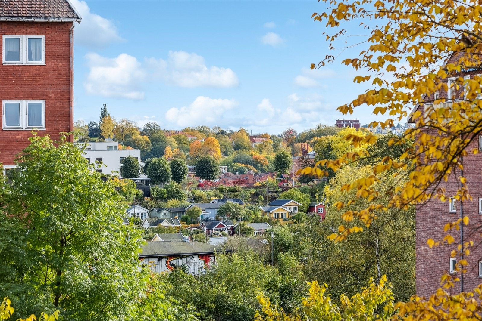 Flott utsikt mot blant annet Rodeløkkens idylliske kolonihager Galleribilde
