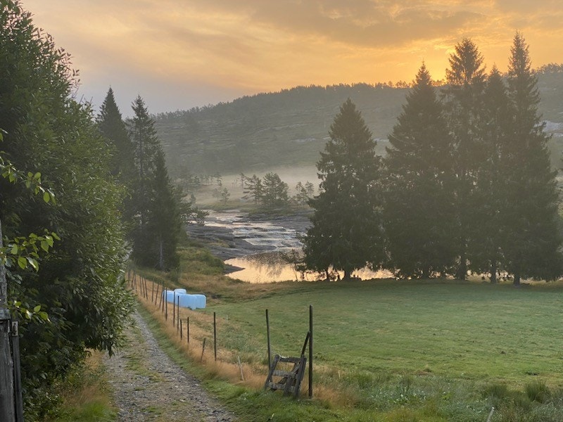 IMG_45911.jpg Galleribilde