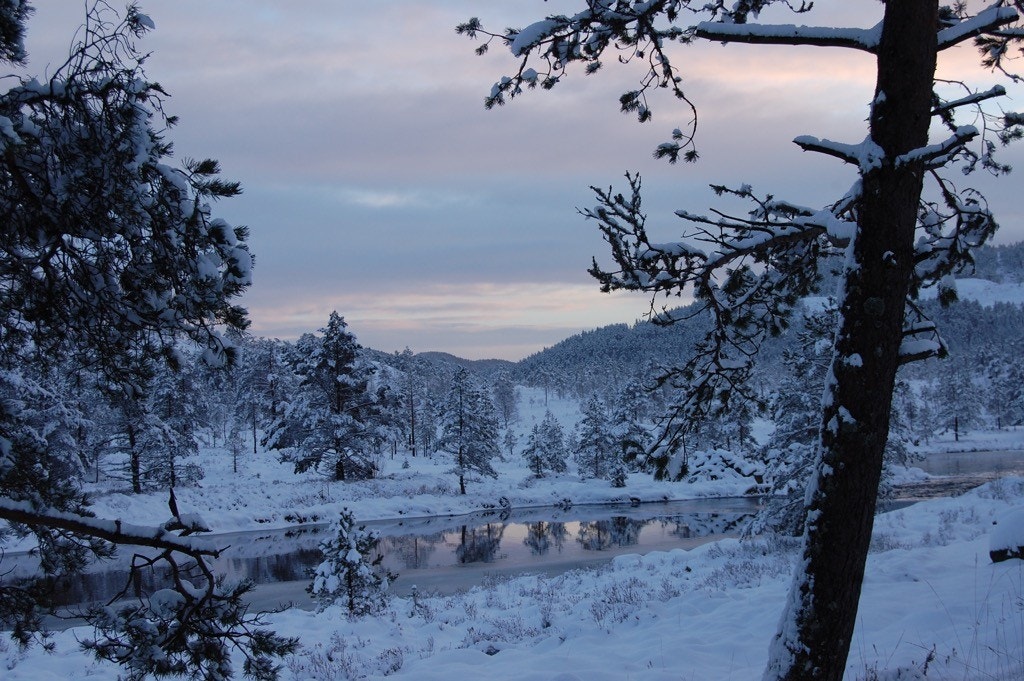 IMG_09081001.jpg Galleribilde