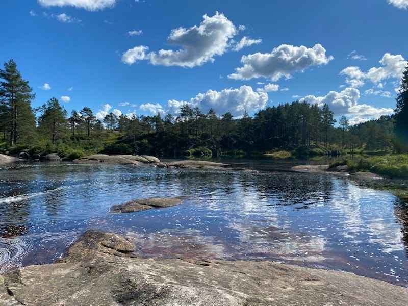 IMG_77671.jpg Galleribilde