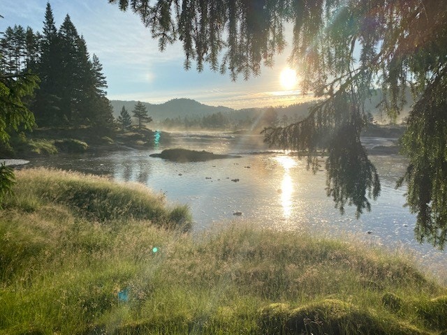 IMG_34041.jpg Galleribilde