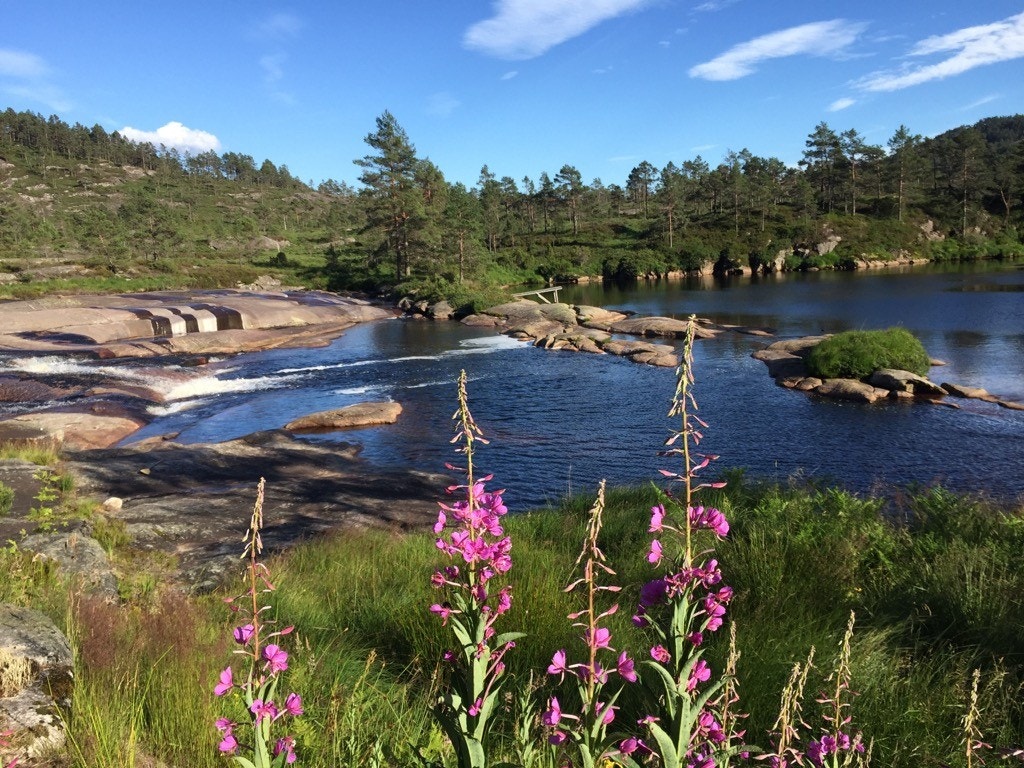 IMG_04601001.jpg Galleribilde