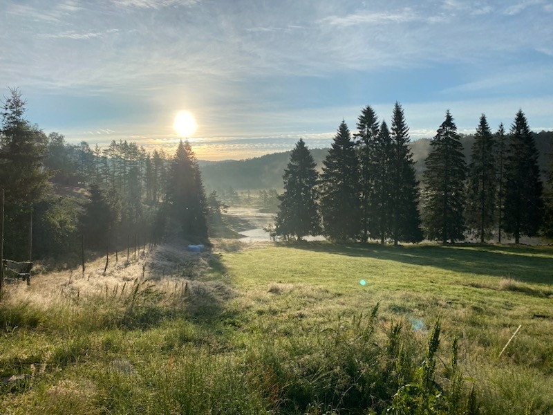 IMG_34021.jpg Galleribilde