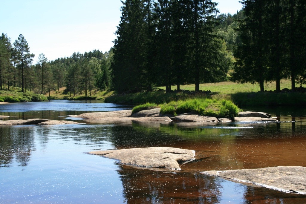 IMG_09211001.jpg Galleribilde