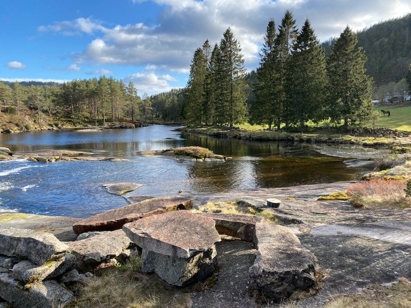 510D3858-1001.jpg Galleribilde