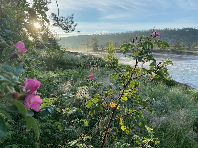 IMG_34081.jpg Galleribilde