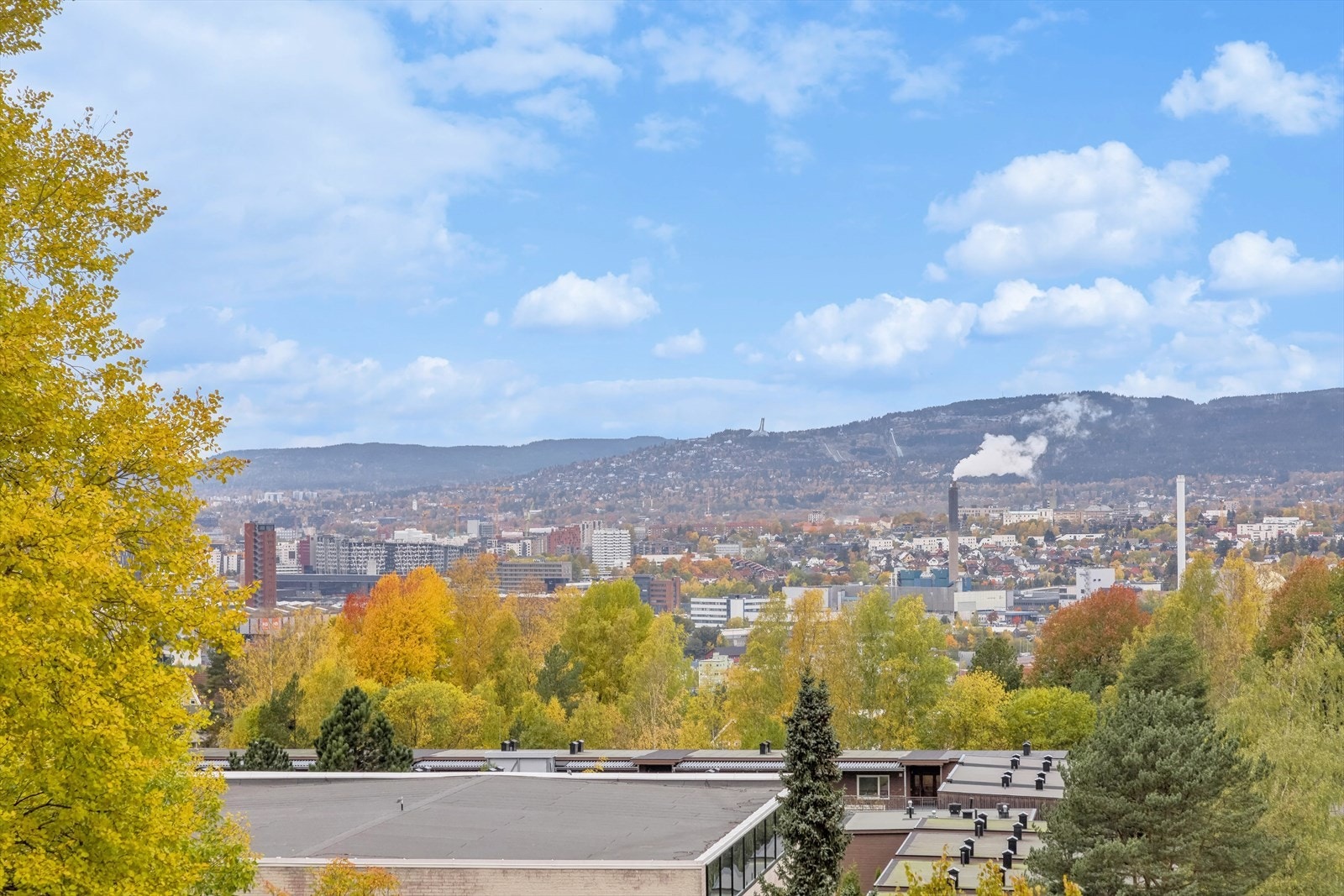 Fantastisk utsikt mot Holmenkollen og vakre Oslo by! Galleribilde