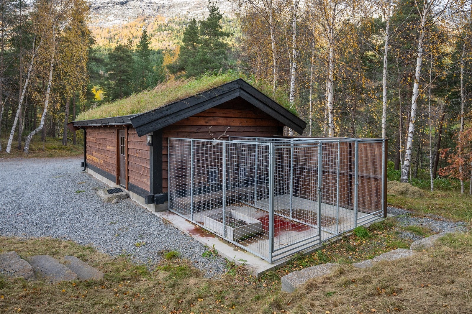 Garasje fra 2010 med tilhørende hundegård. Galleribilde
