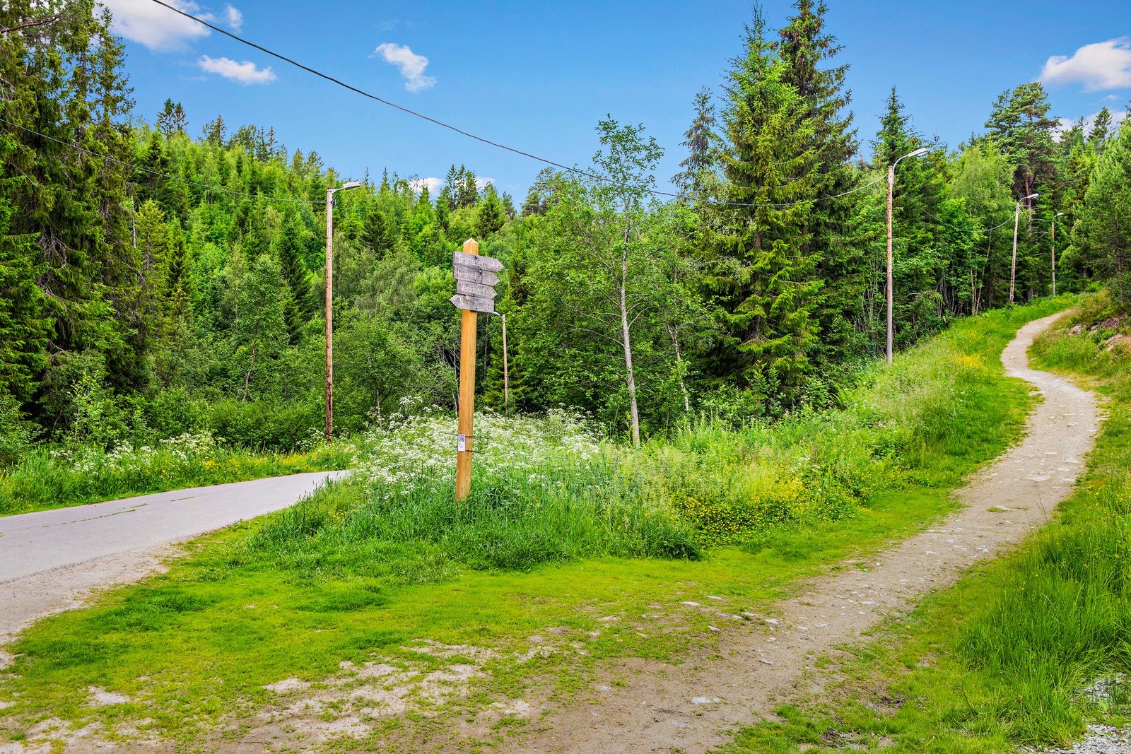 På Byåsen er det utstrakte turområder hele året Galleribilde