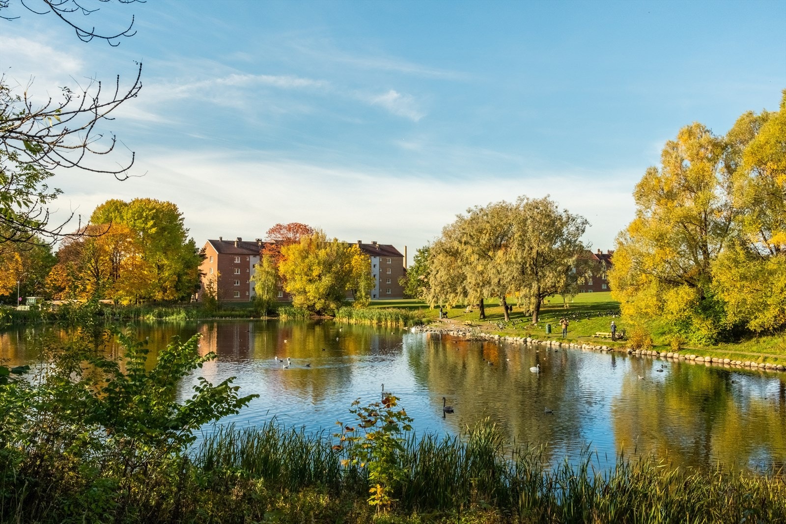 Dette er nærmeste nabo. Hvor fint er ikke dette? Galleribilde