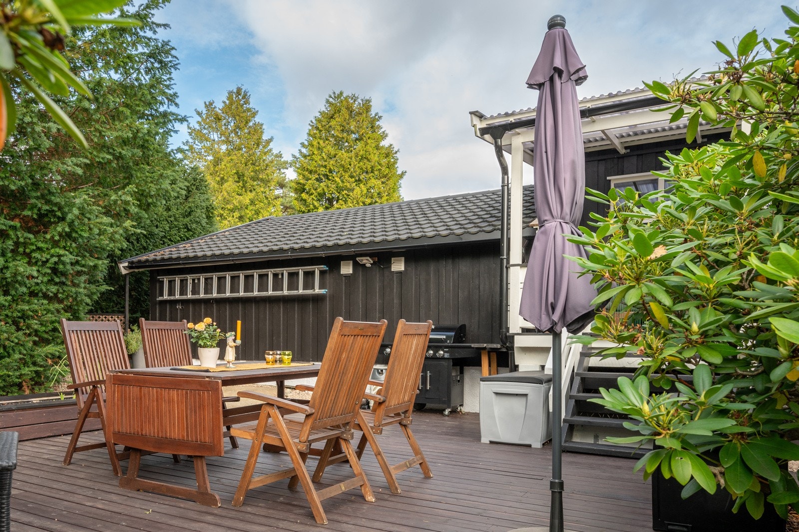 Stor platting blant planter og prydbusker Galleribilde